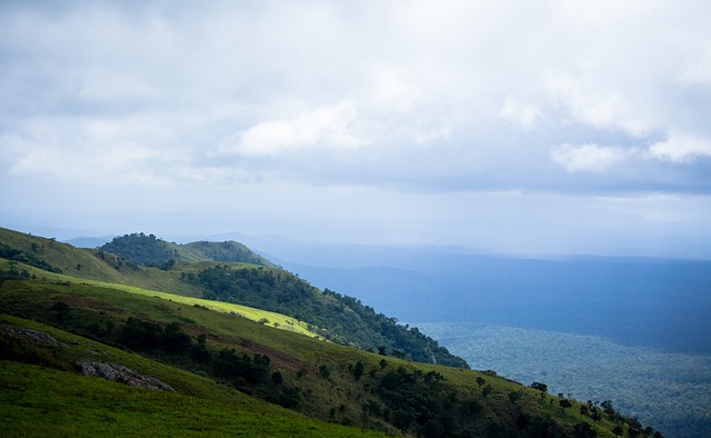 前女篮主帅李亚光：娶羽毛球国手为妻，奥运夺银后升官，65岁被抓